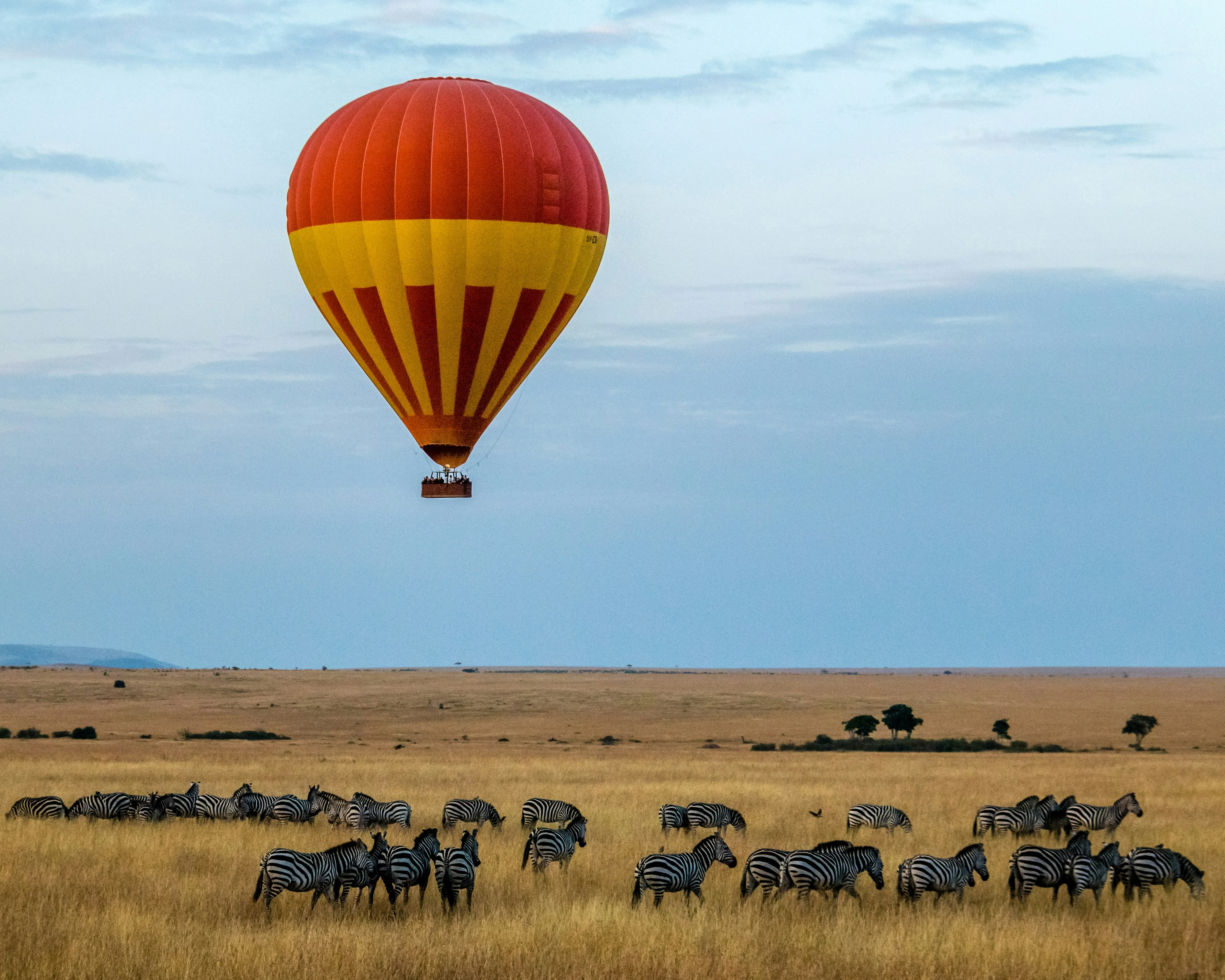 Luxury African safari and wildlife experience