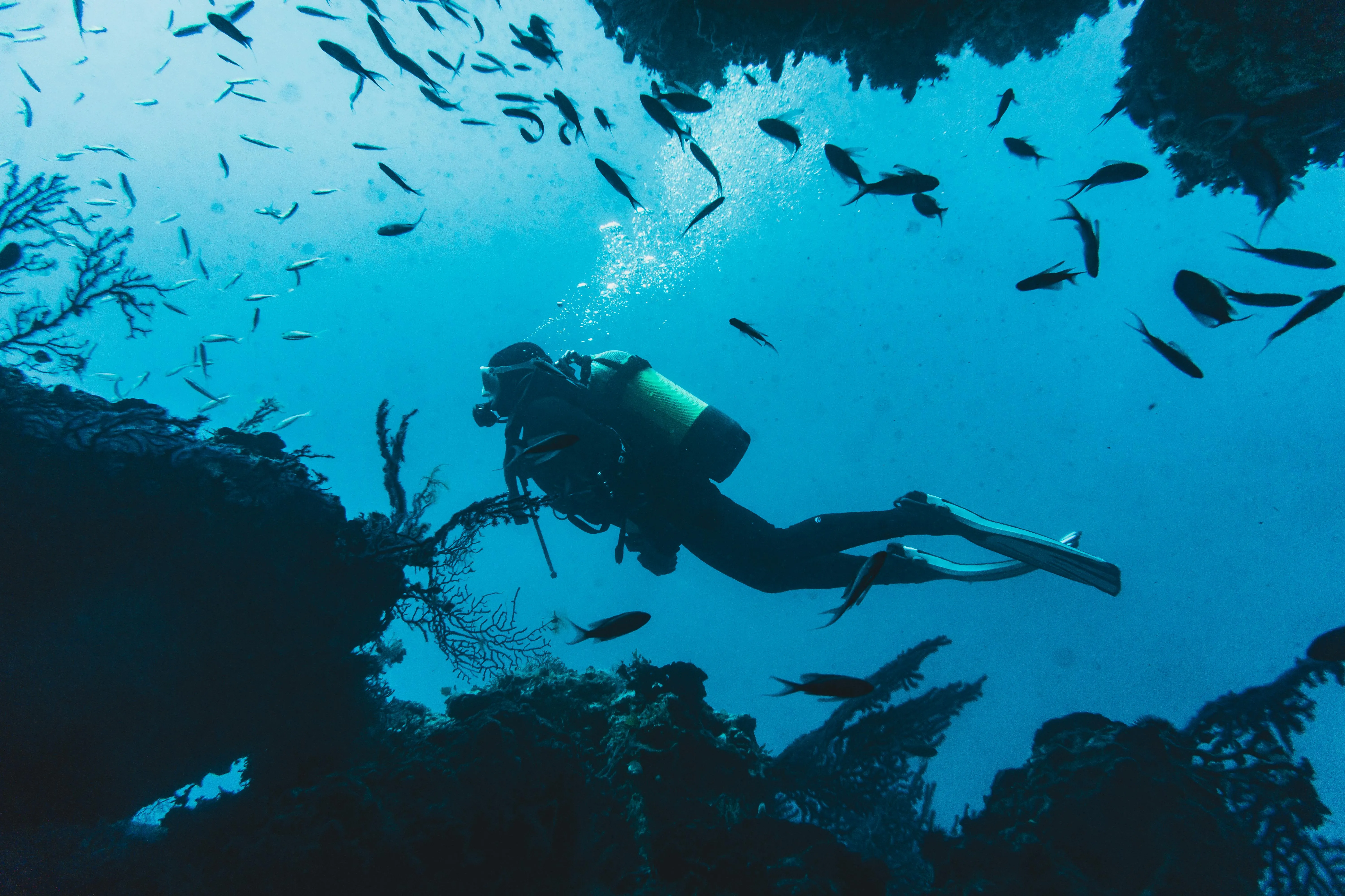 Deep sea diving curated travel experience