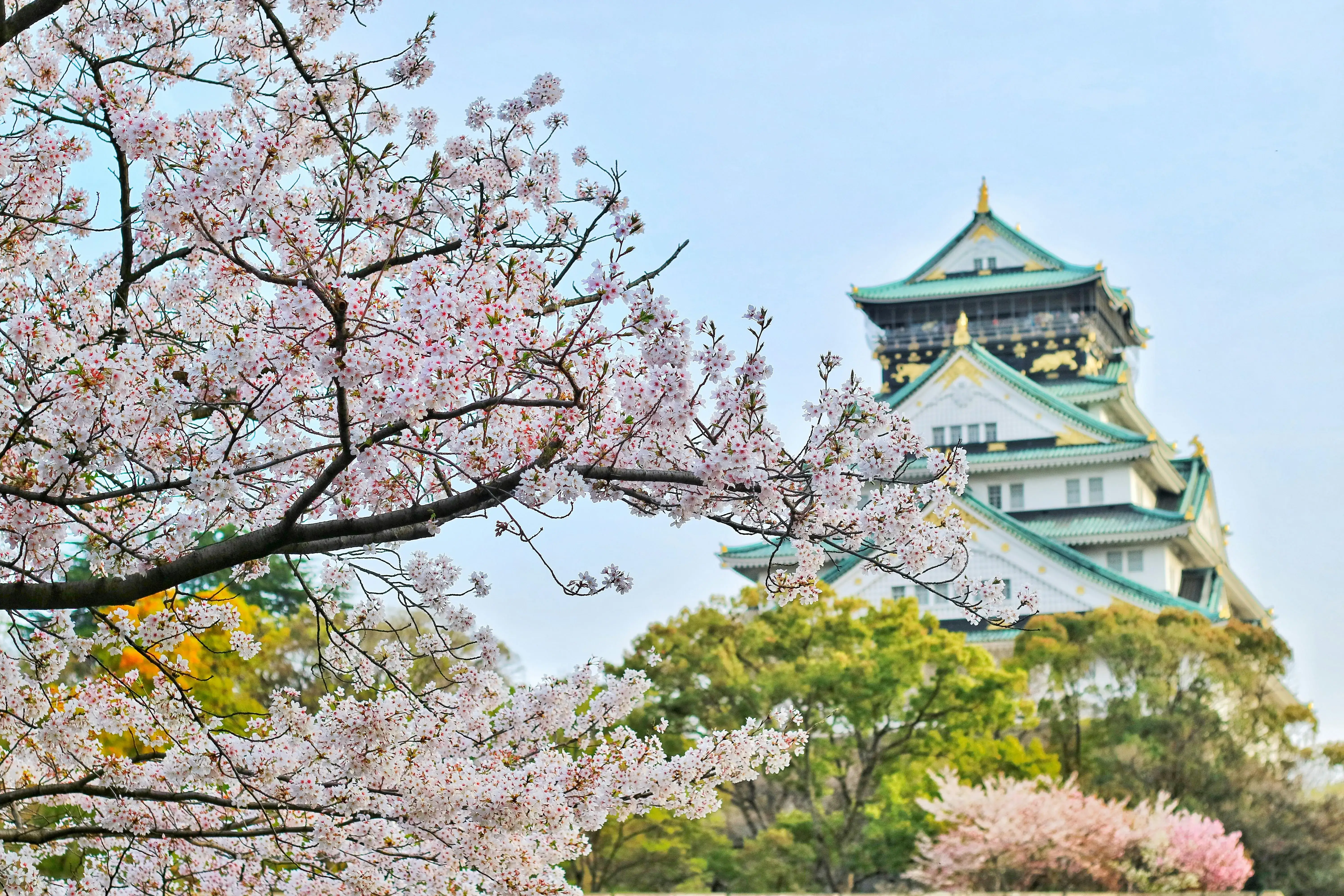 Tailored Itineraries
